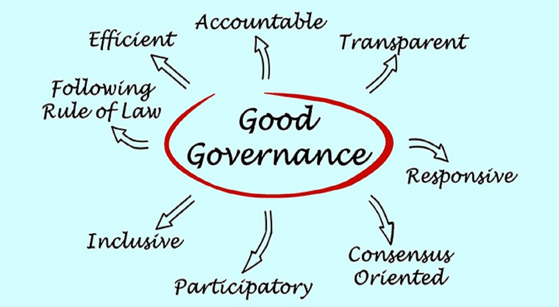 Global Executive Governance Programme