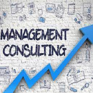 Management Consulting 300×300 Management Consulting 300×300