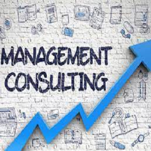 Management Consulting 300×300